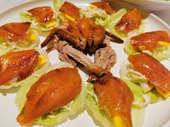 -千灯盛汇·头牌粤菜(致越优城店)