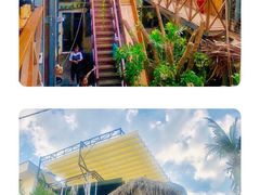 -Rainforest