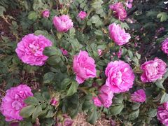 -艾山风景名胜区