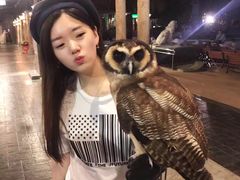 -清迈夜间动物园