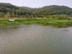 -金山植物公园