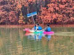 -上海海湾国家森林公园