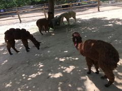 -西安秦岭野生动物园