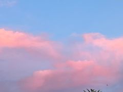 -北京雄鹿运动中心