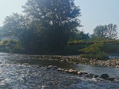 -九曲溪竹筏码头