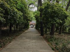 -灵谷景区