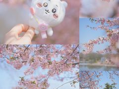 -上海辰山植物园