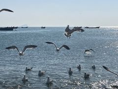 -银沙滩浴场