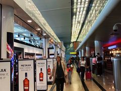 -谢列梅捷沃国际机场