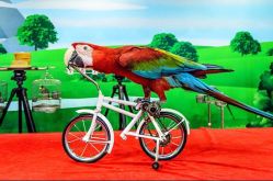 -酷嗒动物文化乐园(cutezoo西溪乐天城店)