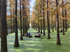 -渌洋湖湿地公园