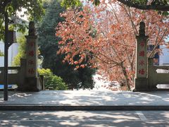 -德阳体育公园(旌阳街道)