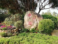 -滴水岩森林公园