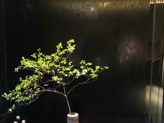 -梅间堂茶馆(绿地缤纷城店)