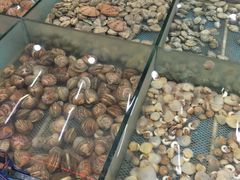 乾毓德平价海鲜火锅城-天津乾毓德饭庄·清真传统炒菜·海鲜烧烤(咸阳路店)