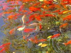 -水磨沟公园