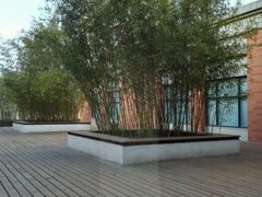 -复旦大学附属华山医院(总院)