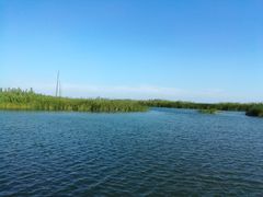 -太湖湖滨国家湿地公园-停车场