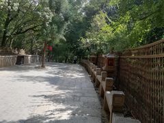 -灵岩山风景区