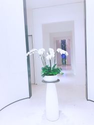 大堂-奥斯芬欧系贵族SPA