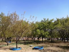 -长春公园(普阳街道)