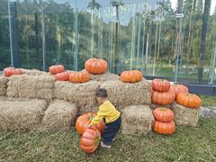 -寒舍蒸鲜(四海马术庄园店)