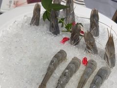 -蜀九香火锅(玉林店)