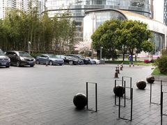 -上海柏悦酒店