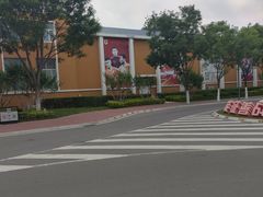 -山东鲁能乒乓球学校