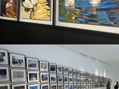 -罗红摄影艺术馆