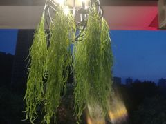 -夜宴江景餐厅
