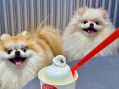 -DQ·蛋糕·冰淇淋(五角场万达店)