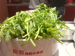 -龍歌自助小火锅(雨花台江南虹悦城店)