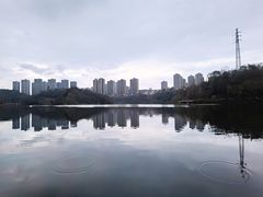 -重庆彩云湖湿地公园