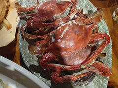 -和源祥·日照菜扛把子(万平口一店)