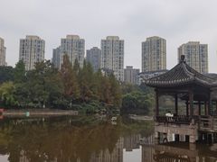 -龙头寺公园