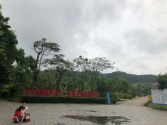 -中山市树木园