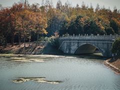 -上海海湾国家森林公园