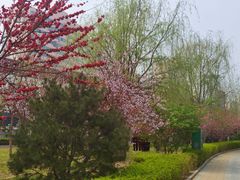 -方庄体育公园