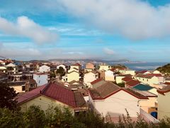 -枸杞岛