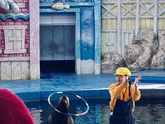 -华夏文旅海洋公园