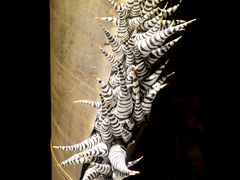 -成都许燎源现代设计艺术博物馆