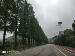 -石燕湖生态旅游景区