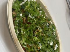 -油梨树AVOCADO TREE(望京店)