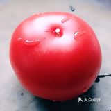 口感酸甜，营养丰富的滋补养生汤—番茄土豆排骨汤
