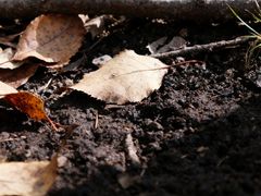 -黑河国家森林公园