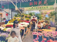 -曲阳花鸟市场(曲阳路店)