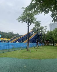 -福州儿童公园