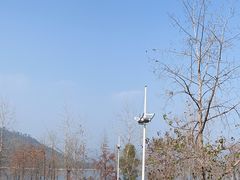 -宝荣鱼馆·临湖之宴(千岛湖店)