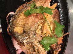 -潮界(虹桥新天地店)